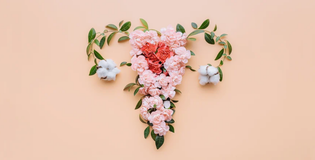 Everything You Need to Know About Gynecologic Cancer!