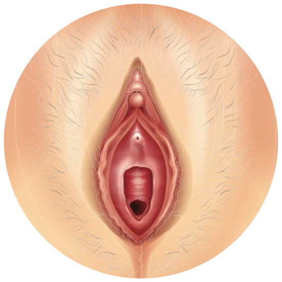 Vulva pH5